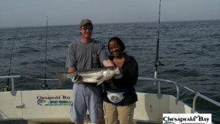 Chesapeake Bay Nice Rockfish 2 #13