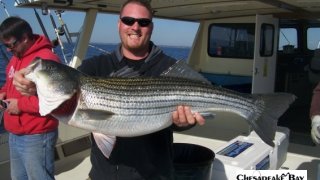 Chesapeake Bay Trophy Rockfish 4 #13