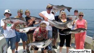 Chesapeake Bay Groups #25