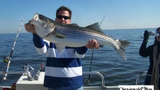 Chesapeake Bay Trophy Rockfish 4 #15