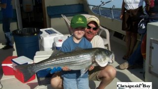 Chesapeake Bay Trophy Rockfish 3 #20