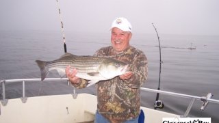 Chesapeake Bay Trophy Rockfish 4 #74