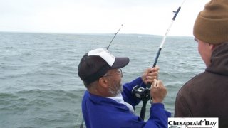 Chesapeake Bay Action Shots #20