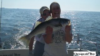 Chesapeake Bay Nice Rockfish 3 #11