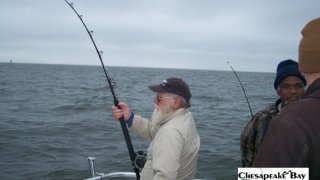 Chesapeake Bay Action Shots #14