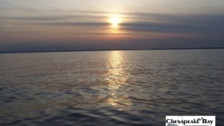 Chesapeake Bay Bay Scenery 2 #31