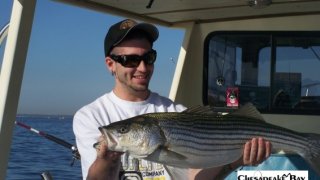 Chesapeake Bay Trophy Rockfish 4 #29