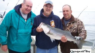 Chesapeake Bay Nice Rockfish 3 #30