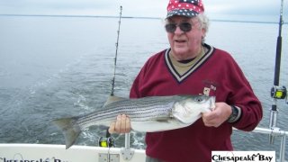 Chesapeake Bay Nice Rockfish 3 #32
