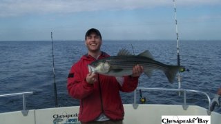 Chesapeake Bay Nice Rockfish 3 #5