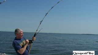 Chesapeake Bay Action Shots 2 #30