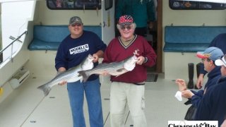 Chesapeake Bay Nice Rockfish 3 #34