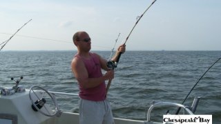 Chesapeake Bay Action Shots #29