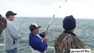 Chesapeake Bay Action Shots #21