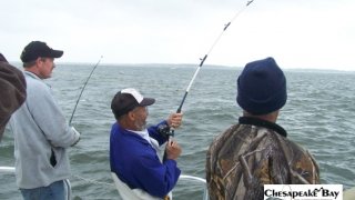 Chesapeake Bay Action Shots #21
