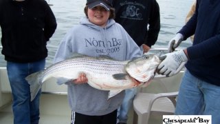 Chesapeake Bay Trophy Rockfish 3 #24