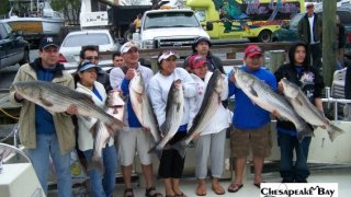 Chesapeake Bay Groups #31