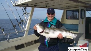 Chesapeake Bay Trophy Rockfish 4 #36
